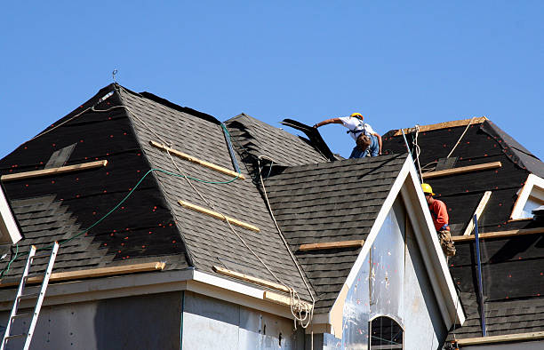 Best Roof Leak Repair  in Potomac Heights, MD