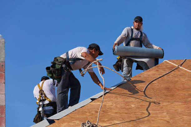 Best Emergency Roof Repair  in Potomac Heights, MD