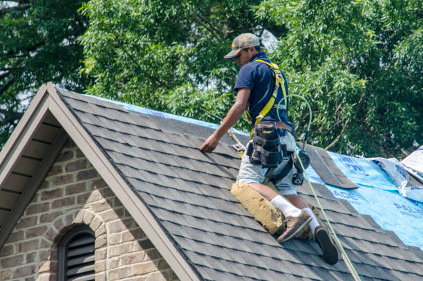 Best Gutter Installation and Roofing  in Potomac Heights, MD